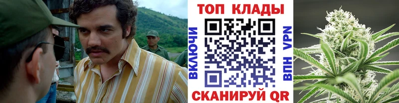 Все наркотики Королёв A-PVP  Меф  Гашиш  Канабис  Кокаин 
