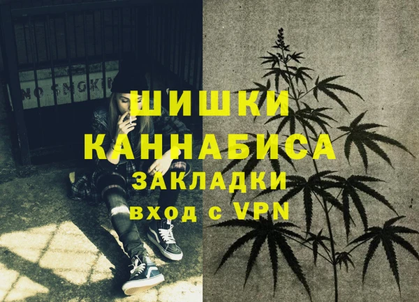 спайс Медвежьегорск